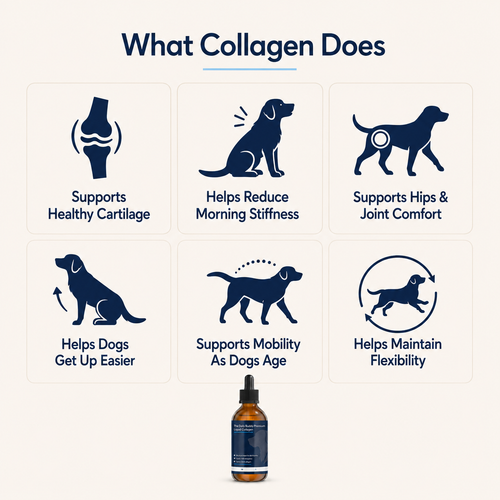 The Daily Buddy Premium Liquid Joint Collagen for Dogs